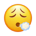 小表情